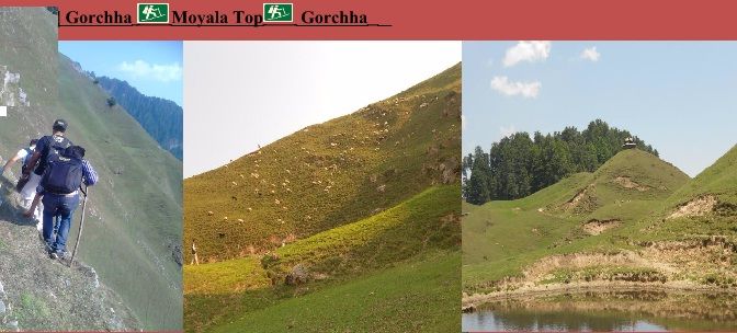 Photo of Travel to hills, again. Lost Village | Gorchha | Uttrakhand | India 5/7 by Pack n Ride