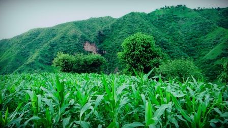Photo of Travel to hills, again. Lost Village | Gorchha | Uttrakhand | India 6/7 by Pack n Ride