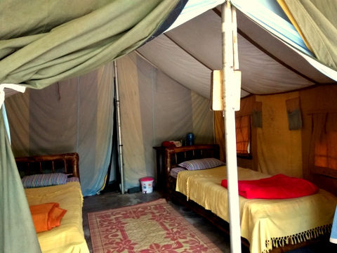 Photo of Nameri Eco Camp, Assam 4/6 by Priyanka Gogoi