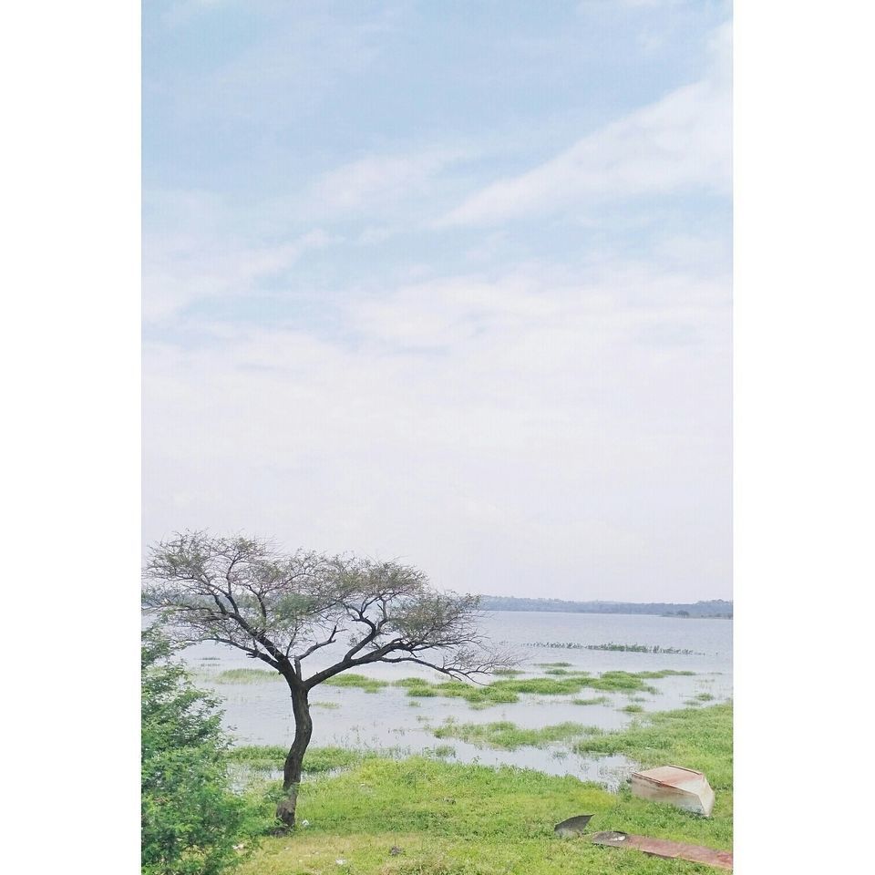 Photo of Igatpuri, Maharashtra, India by Tanvi S
