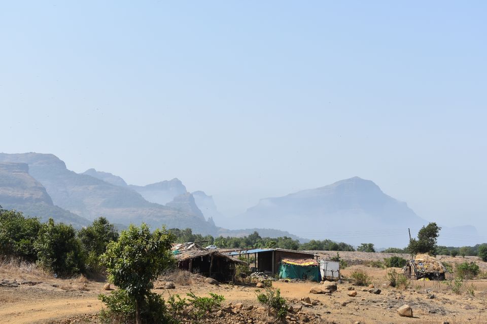 Photo of Taked Budruk, Maharashtra, India by Tanvi S