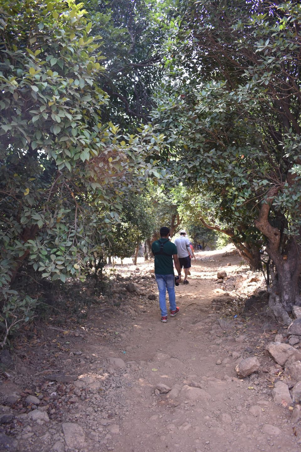 Photo of Taked Budruk, Maharashtra, India by Tanvi S