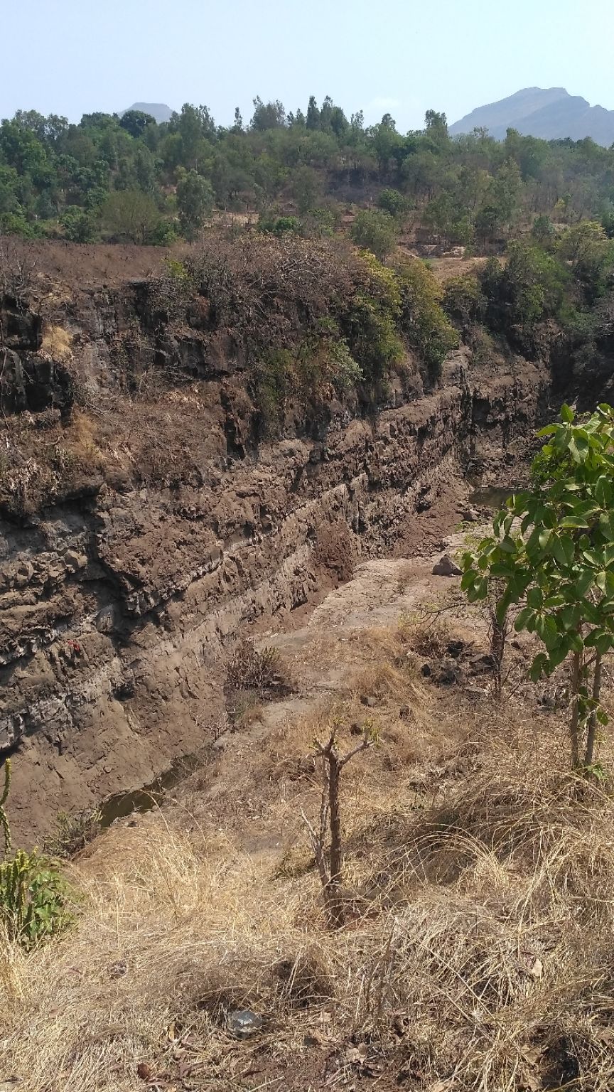 Photo of Taked Budruk, Maharashtra, India by Tanvi S