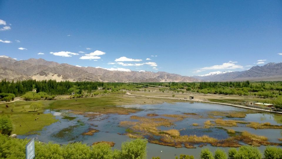 Photo of Mesmerising Ladakh 8/25 by Tanvi S