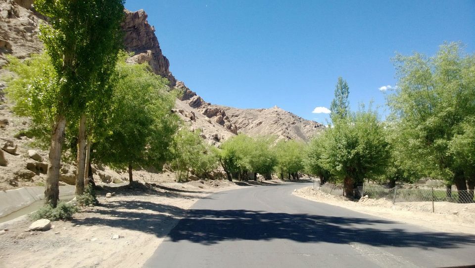 Photo of Mesmerising Ladakh 4/25 by Tanvi S