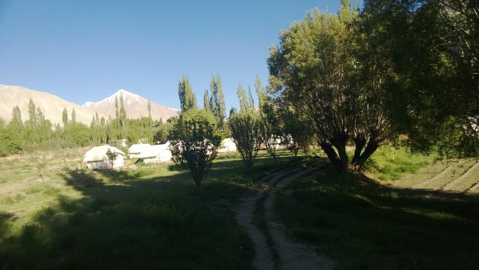 Photo of Mesmerising Ladakh 25/25 by Tanvi S