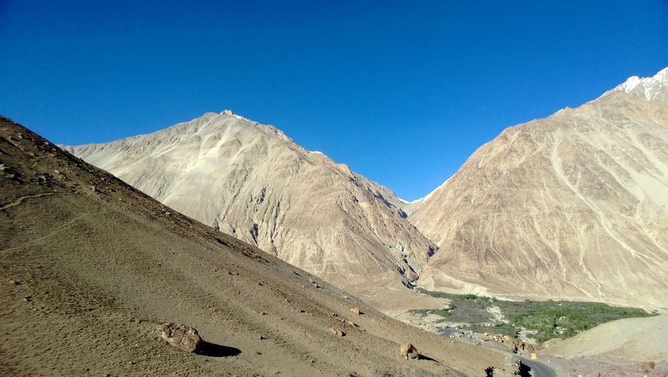 Photo of Mesmerising Ladakh 22/25 by Tanvi S