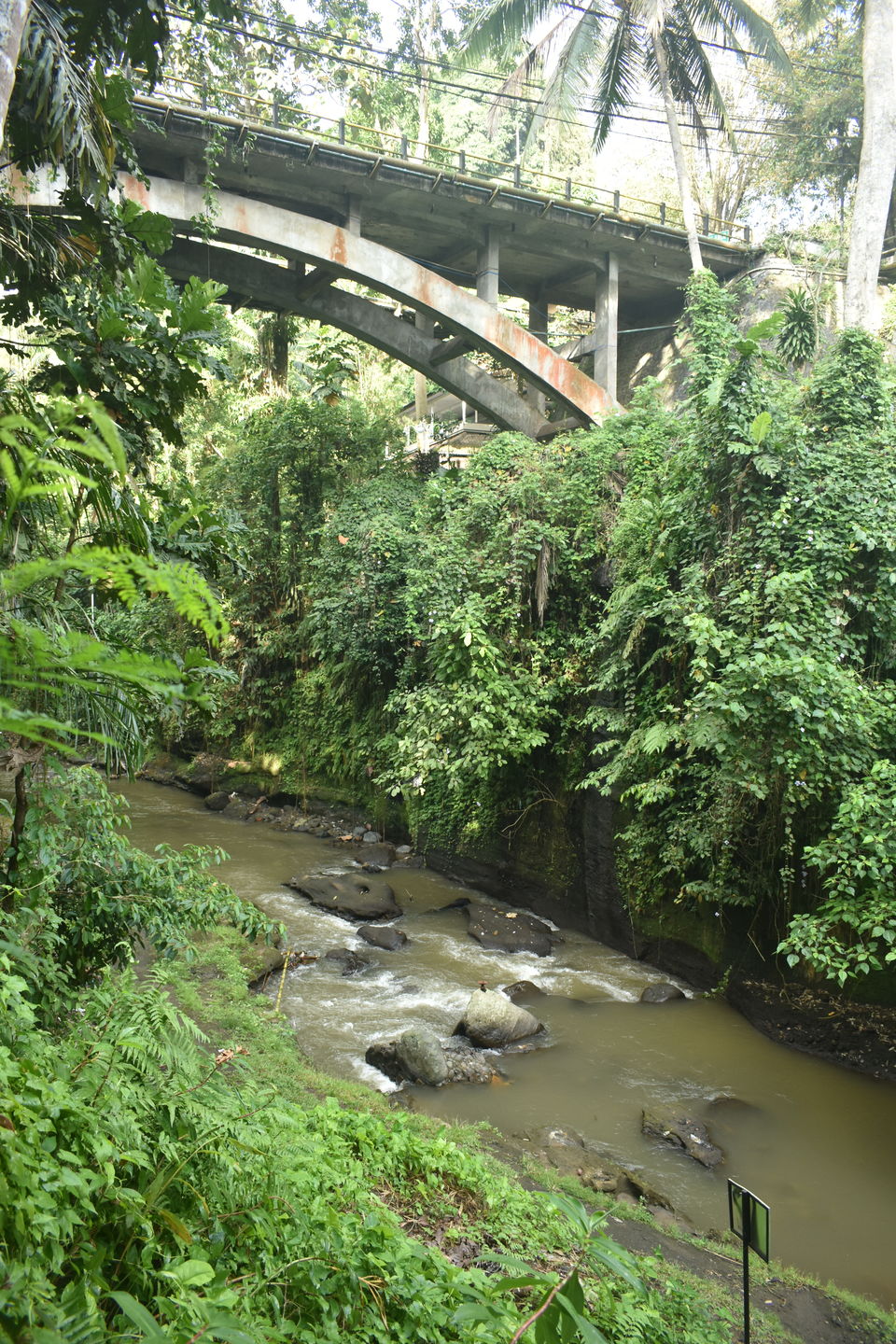 Photo of Road Trip in Bali! 25/26 by Tanvi S