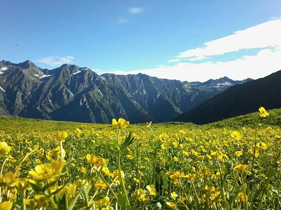 Photo of lambhri by atul sharma