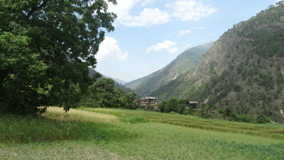 Photo of Marahni trekking expedition 7/14 by atul sharma