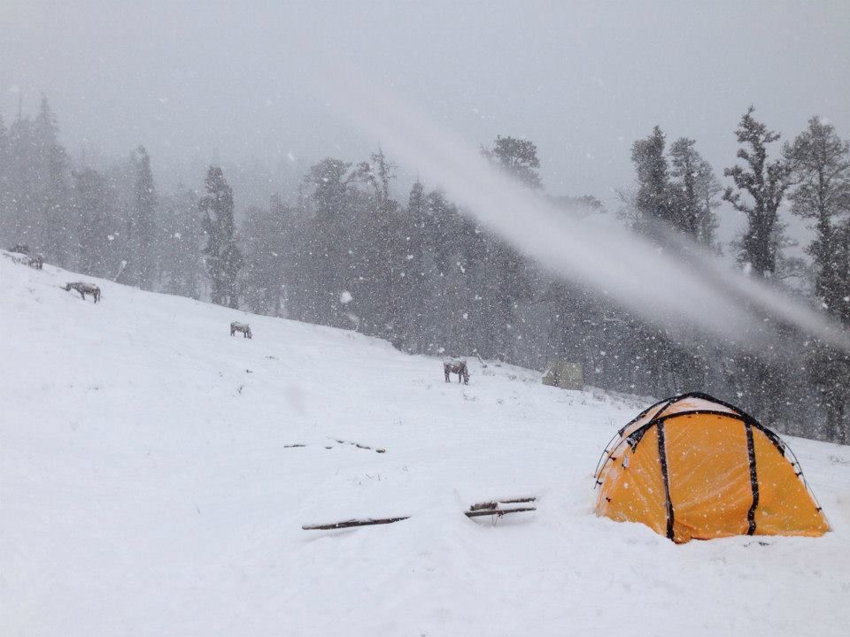 Photo of Kedarkantha - A cream walk to heaven by Vinit Acharekar