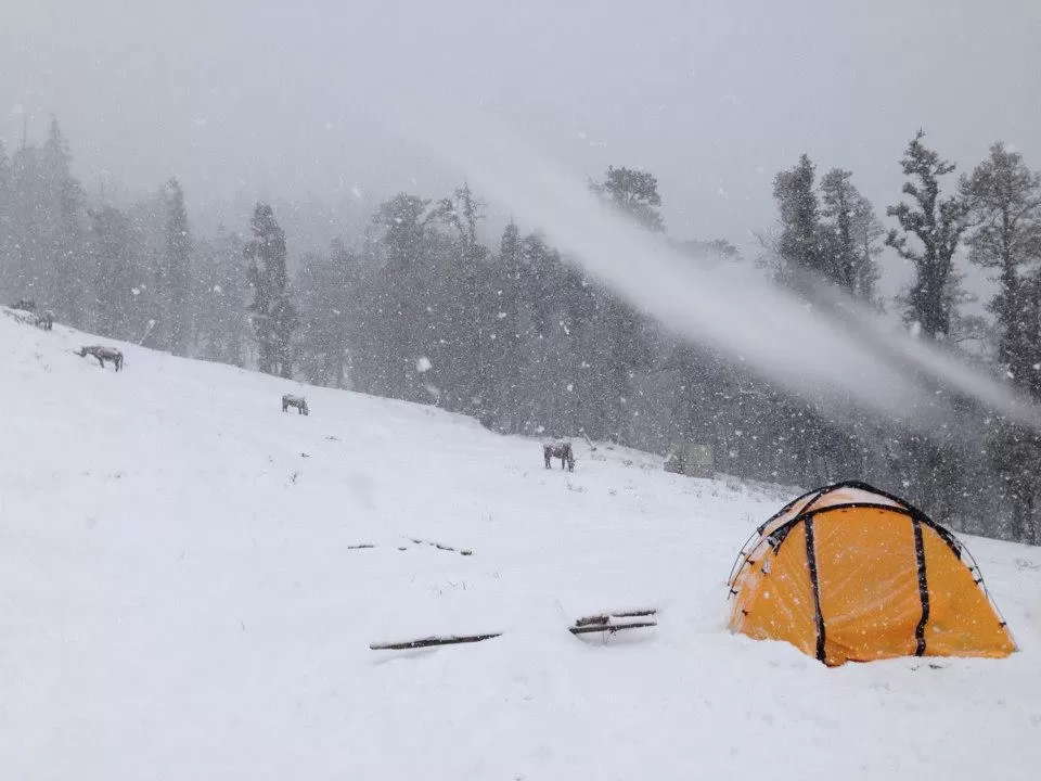 Photo of Kedarkantha - A cream walk to heaven by Vinit Acharekar