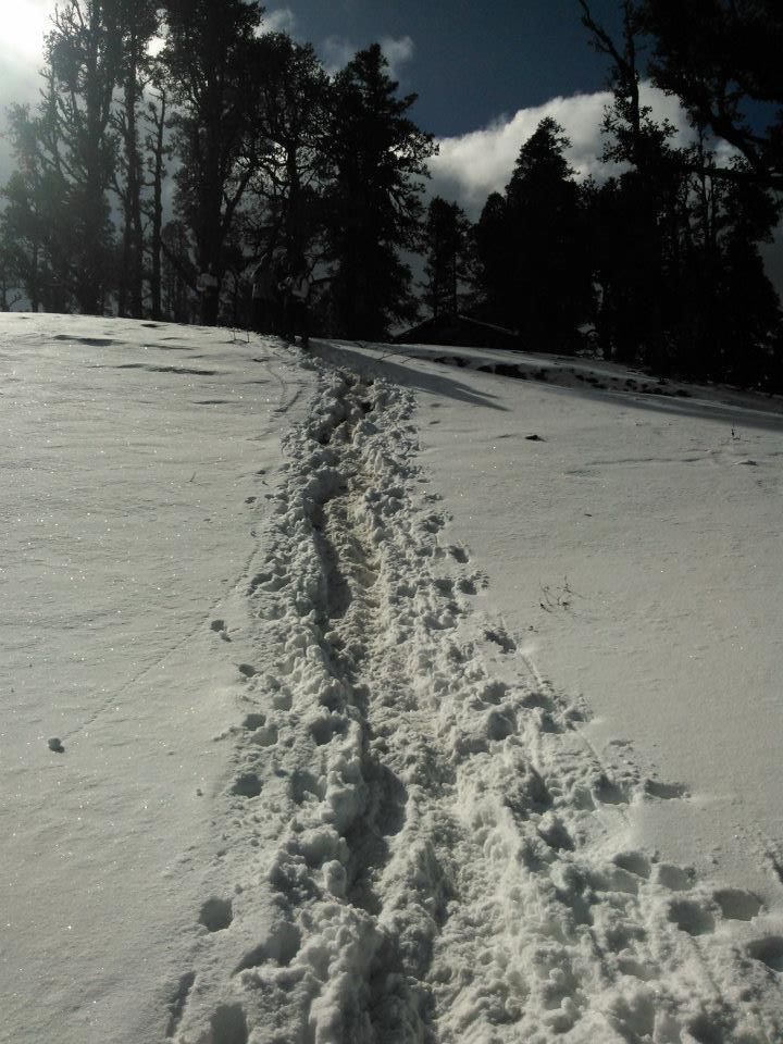 Photo of Kedarkantha - A cream walk to heaven by Vinit Acharekar