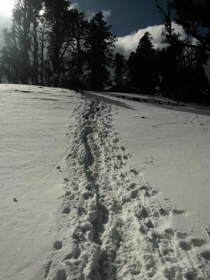 Photo of Kedarkantha - A cream walk to heaven by Vinit Acharekar