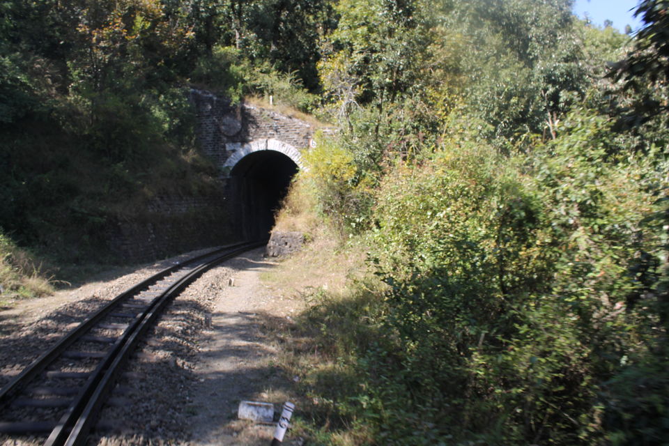 Photo of Kasauli – The story of roads and hills 2/11 by anila