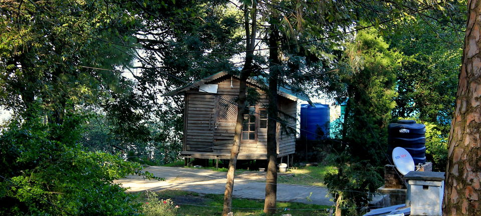 Photo of Kasauli – The story of roads and hills 7/11 by anila