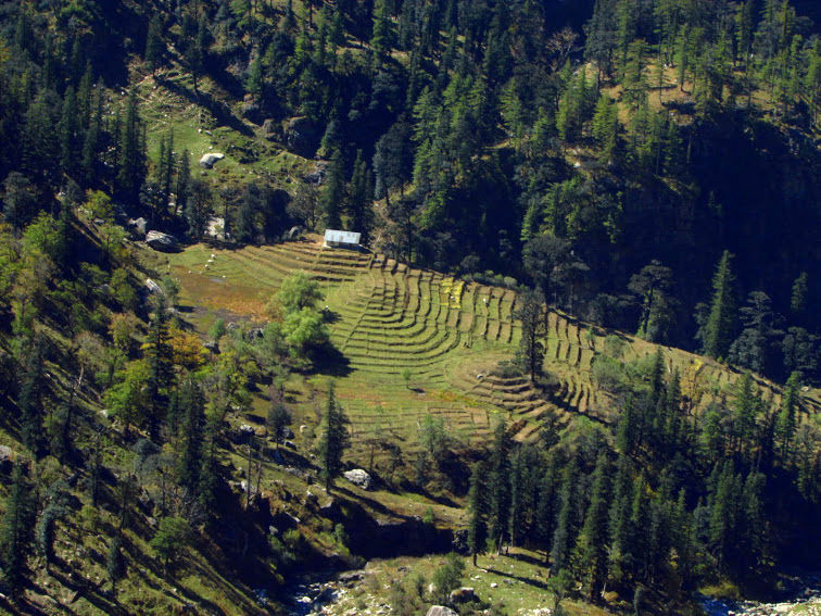 Photo of Manali- Beauty of hills, snow and greens. 8/20 by anila