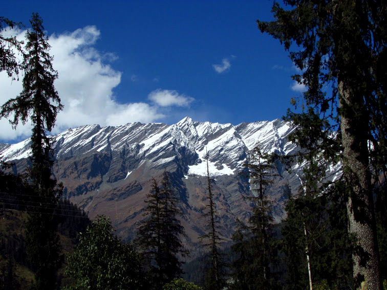 Photo of Manali- Beauty of hills, snow and greens. 9/20 by anila