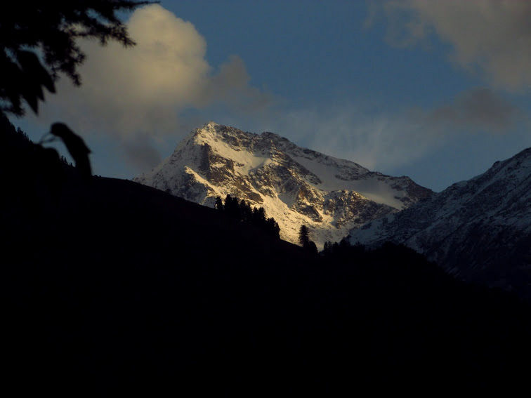 Photo of Manali- Beauty of hills, snow and greens. 11/20 by anila