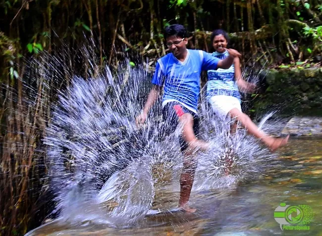 Photo of double decker living root bridge by anila