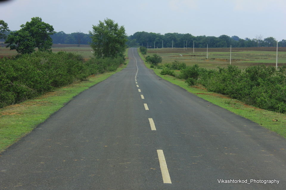 Photo of Netarhat: an untold story of Jharkhand 14/48 by anila