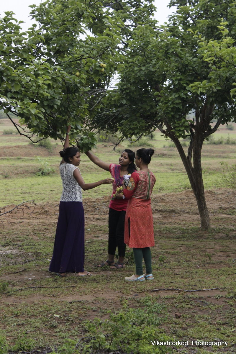 Photo of Netarhat: an untold story of Jharkhand 24/48 by anila