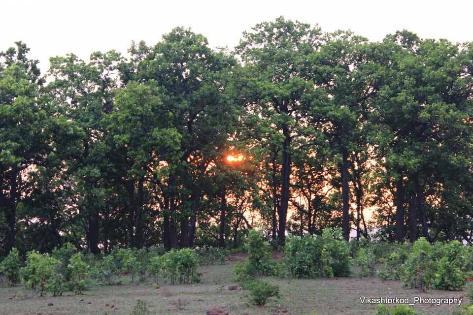 Photo of Netarhat: an untold story of Jharkhand 27/48 by anila