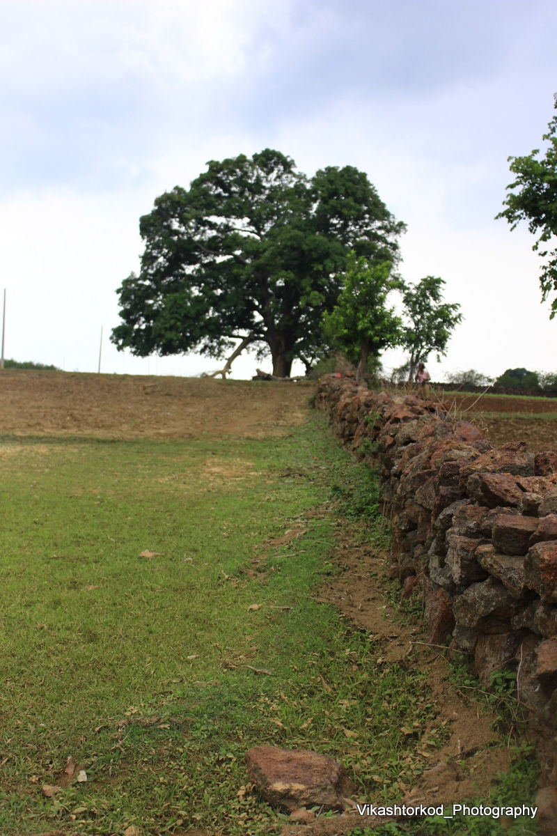 Photo of Netarhat: an untold story of Jharkhand 44/48 by anila