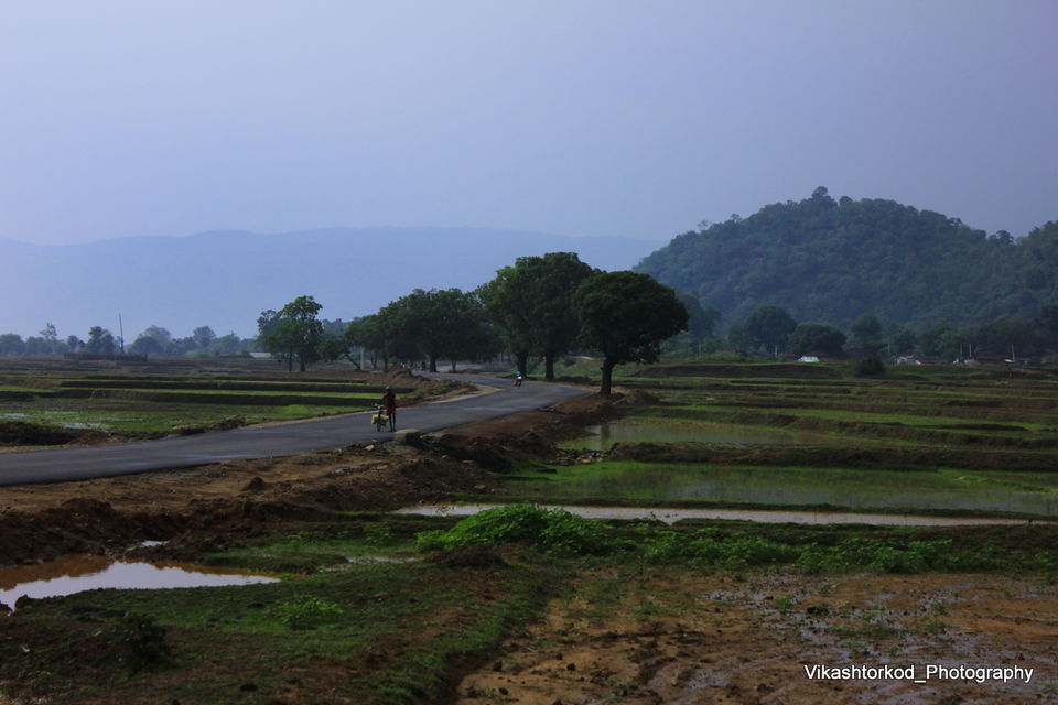 Photo of Netarhat: an untold story of Jharkhand 45/48 by anila