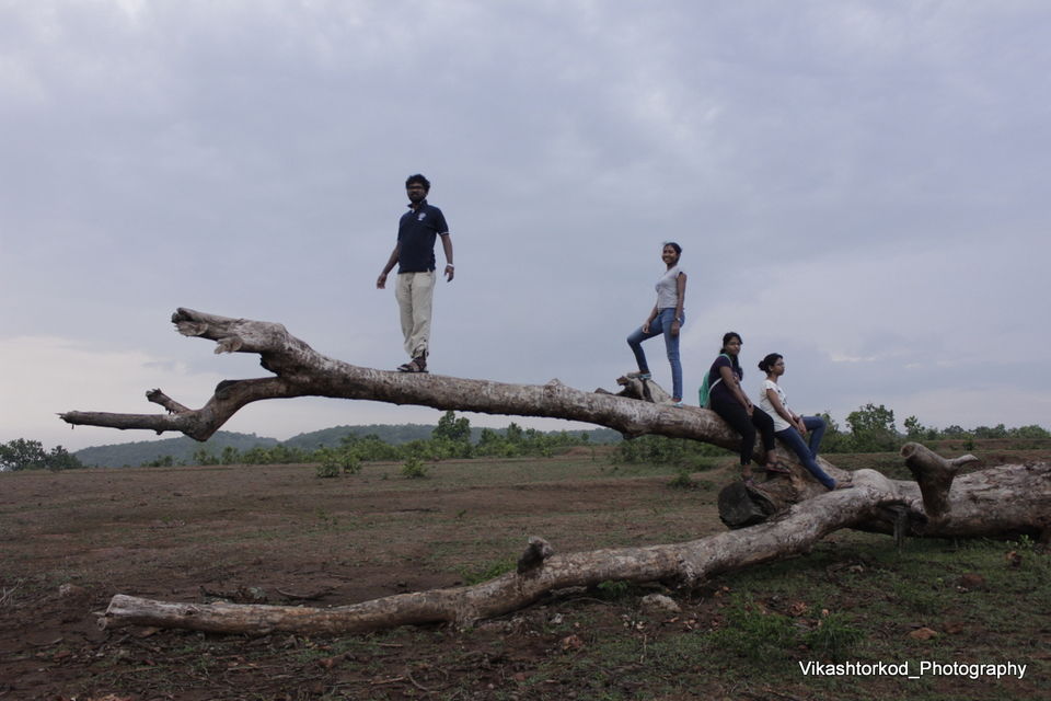 Photo of Netarhat: an untold story of Jharkhand 2/48 by anila