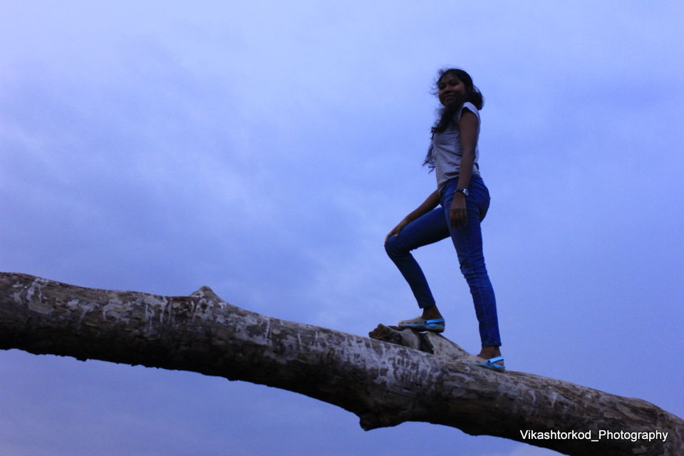 Photo of Netarhat: an untold story of Jharkhand 5/48 by anila