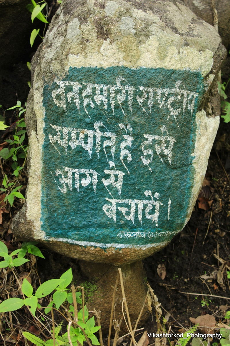 Photo of Netarhat: an untold story of Jharkhand 8/48 by anila