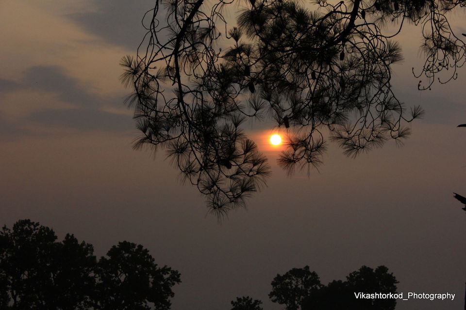 Photo of Netarhat: an untold story of Jharkhand 12/48 by anila