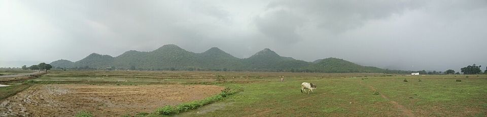 Photo of Netarhat: an untold story of Jharkhand 15/48 by anila