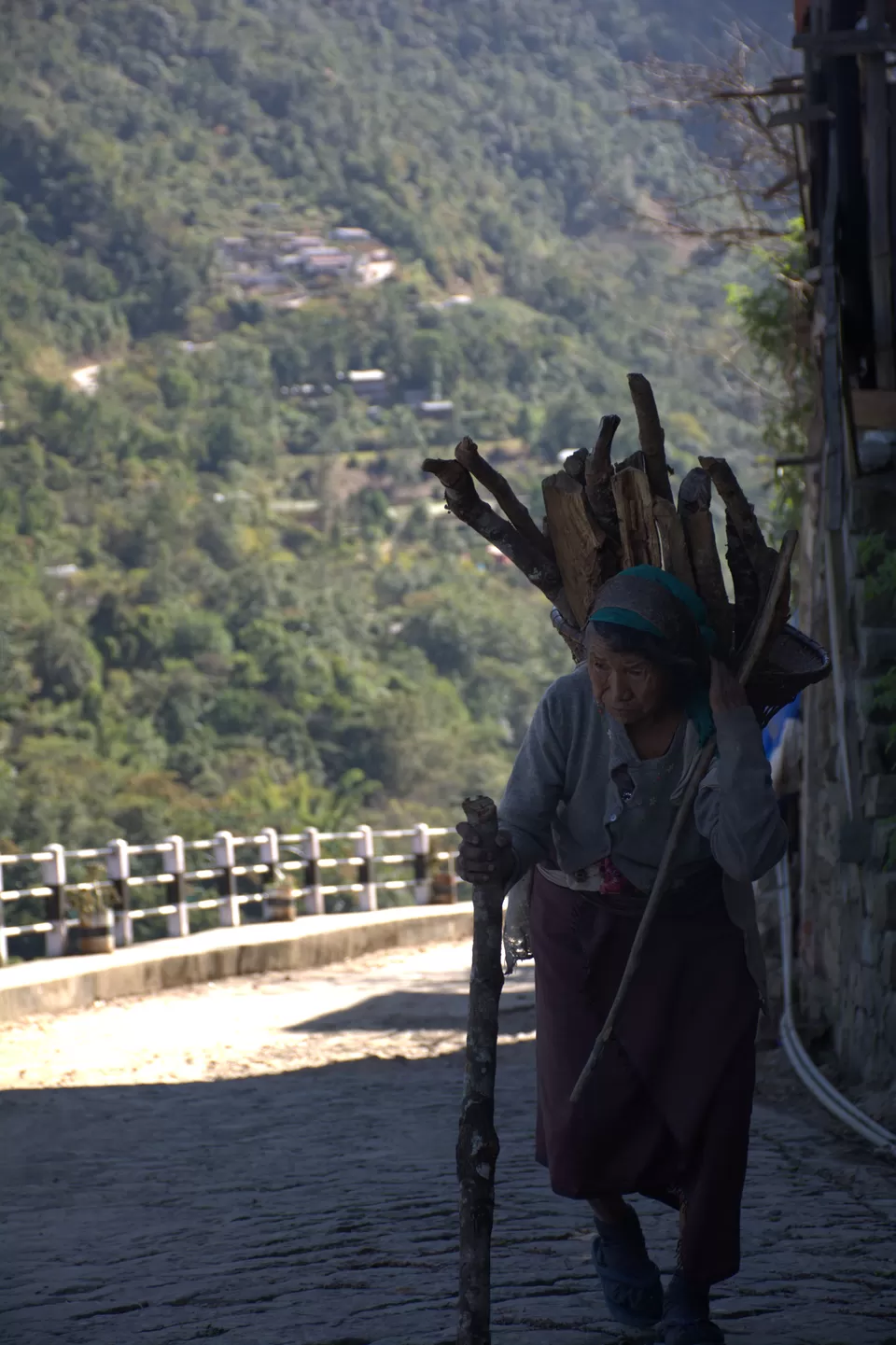 Photo of Khonoma, Nagaland, India by anila