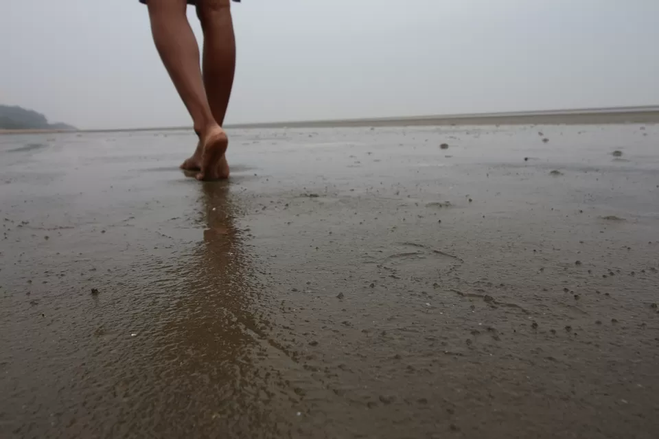 Photo of Chandipur, Odisha, India by anila