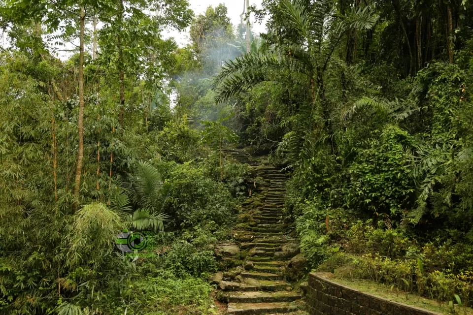 Photo of Mawlynnong, Meghalaya, India by anila