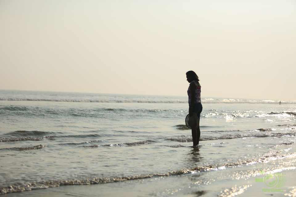 Photo of Chandipur, Odisha: To Love, romance, peace and Life by anila