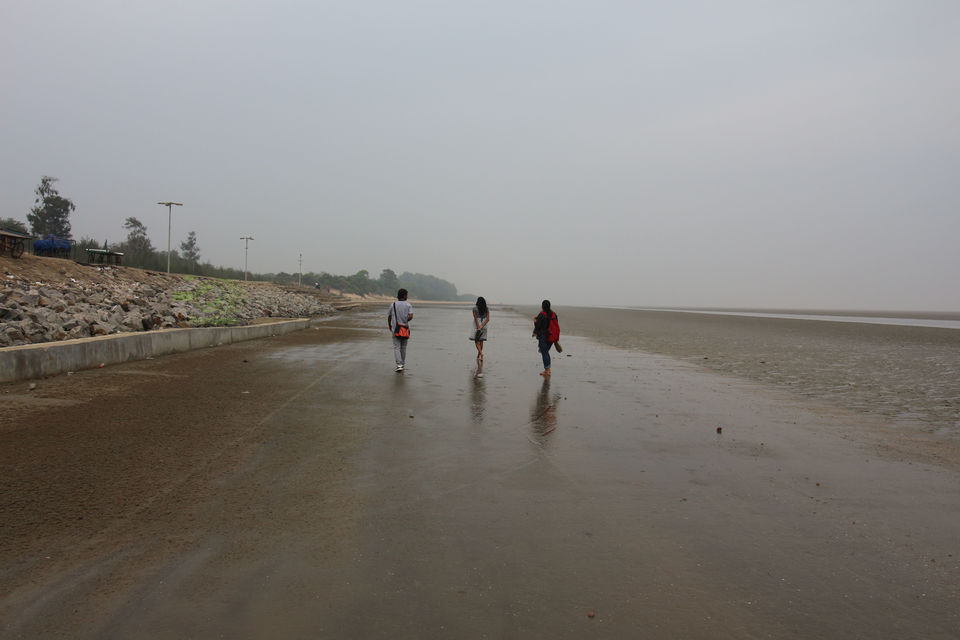 Photo of Chandipur, Odisha: To Love, romance, peace and Life by anila