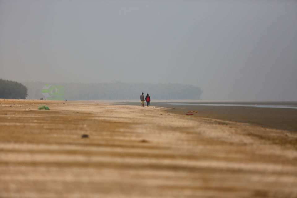 Photo of Chandipur, Odisha: To Love, romance, peace and Life by anila