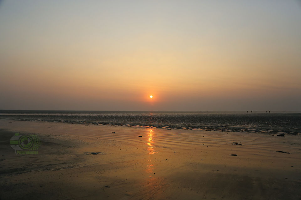 Photo of Chandipur, Odisha: To Love, romance, peace and Life by anila