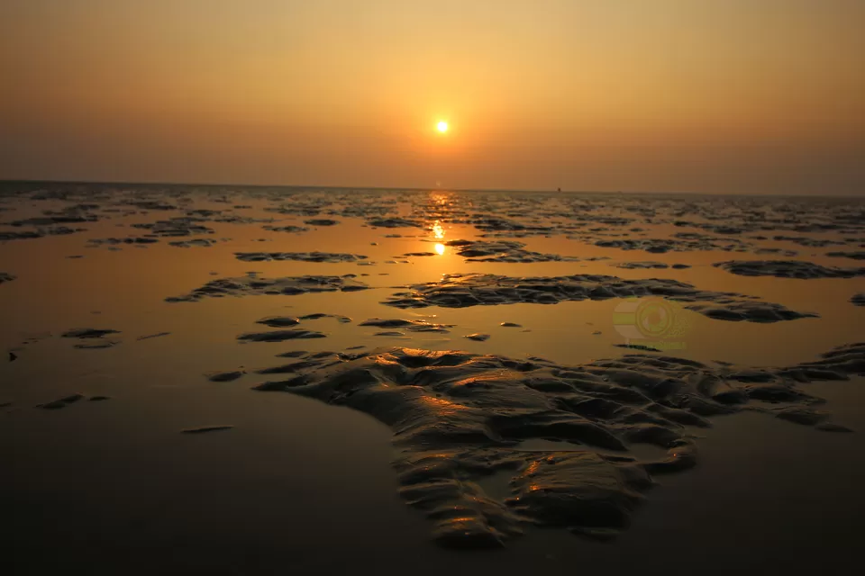 Photo of Chandipur Beach, Chandipur Beach Road, Chandipur, Odisha, India by anila