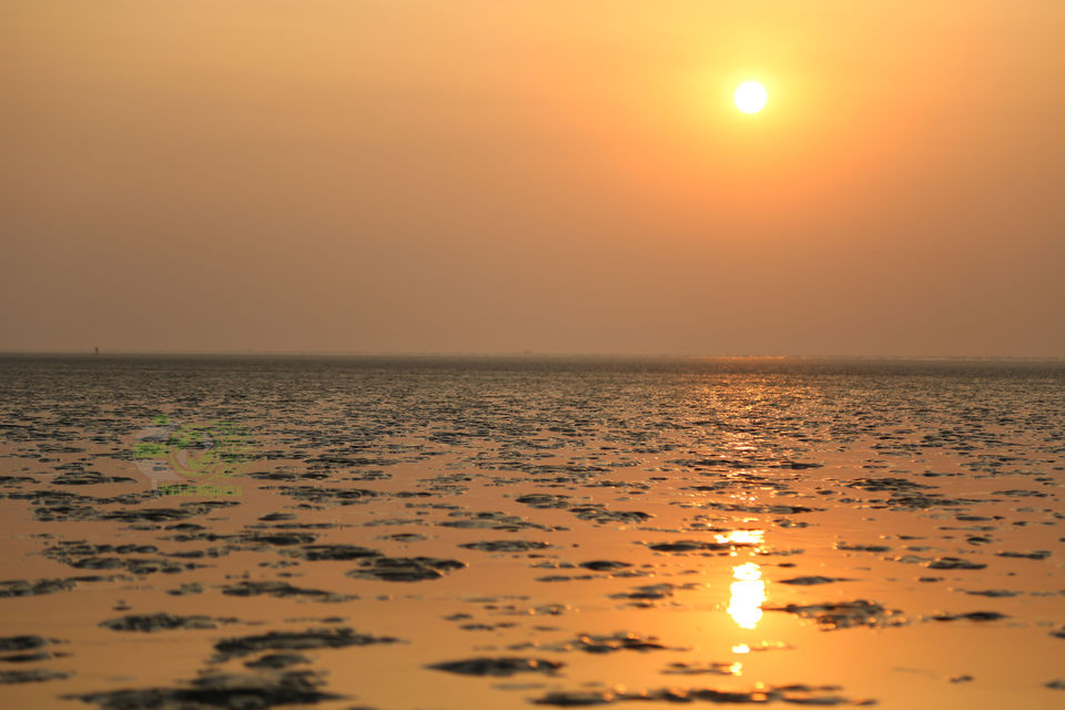 Photo of Chandipur, Odisha: To Love, romance, peace and Life by anila