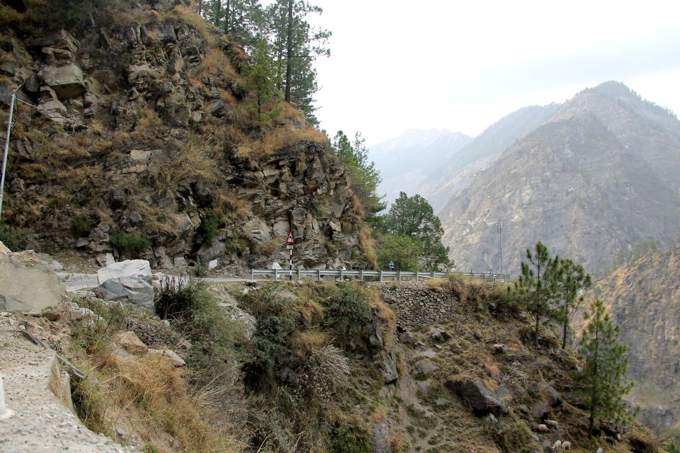 Photo of Spiti Valley: Roaming hearts in mountains 4/4 by anila