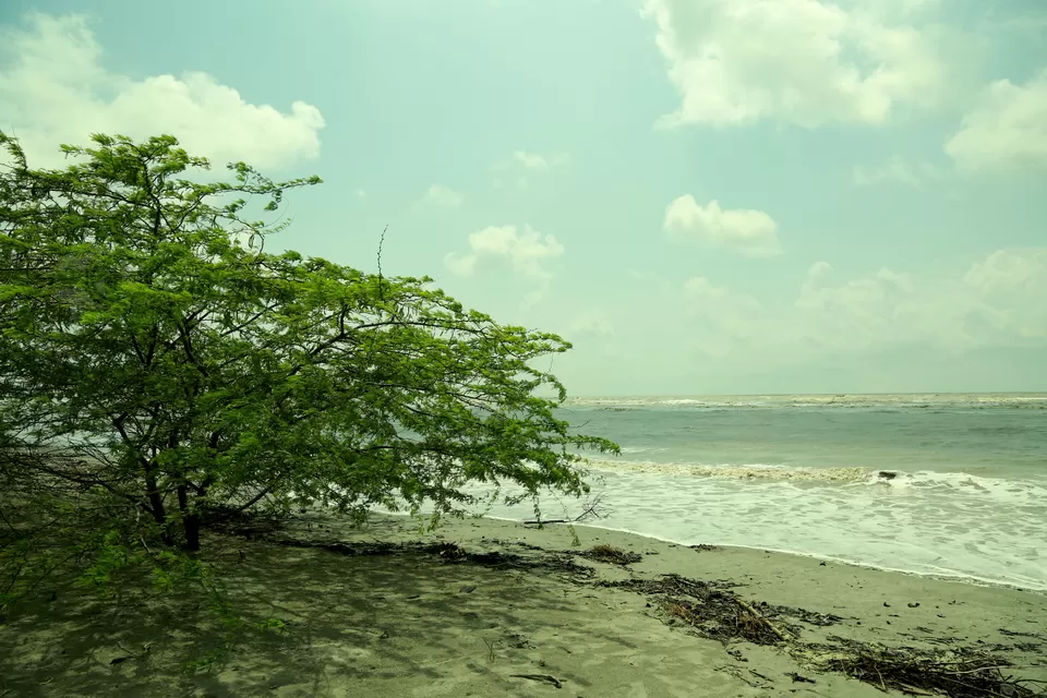 Photo of Henry's Island Beach, West Bengal, India by anila