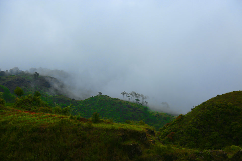 Photo of 'Picture perfect trip' is the result of travelling with Photographer friend. by anila