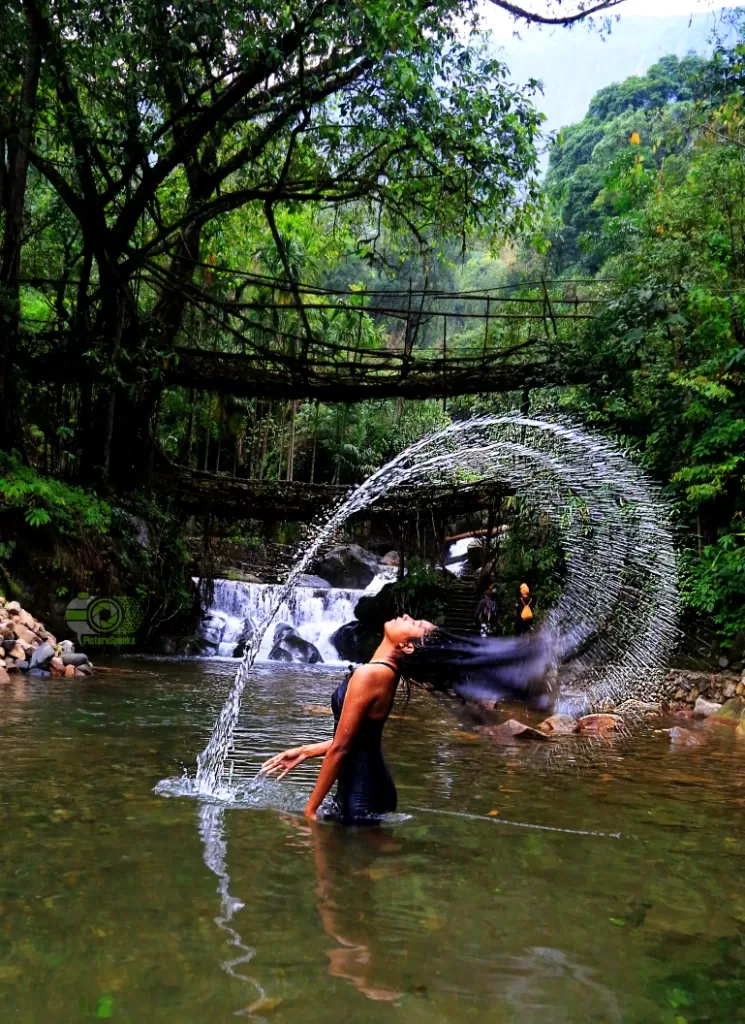 Photo of Living Root Bridge, East Khasi Hills, Meghalaya, India by anila