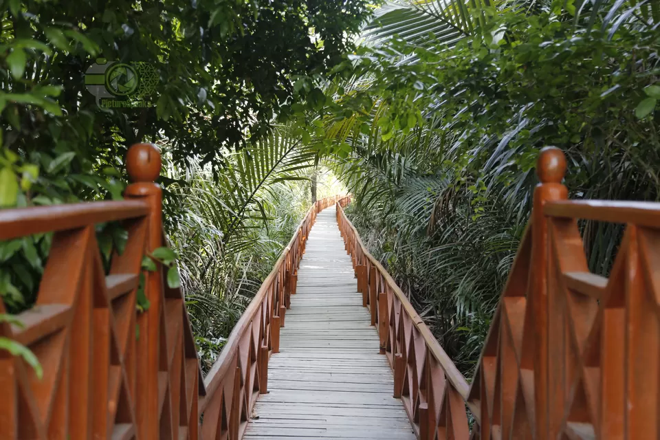 Photo of Andaman and Nicobar Islands, India by anila