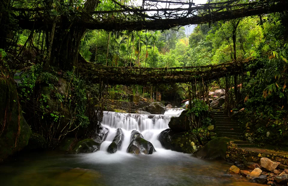 Photo of Nongriat, Meghalaya, India by anila