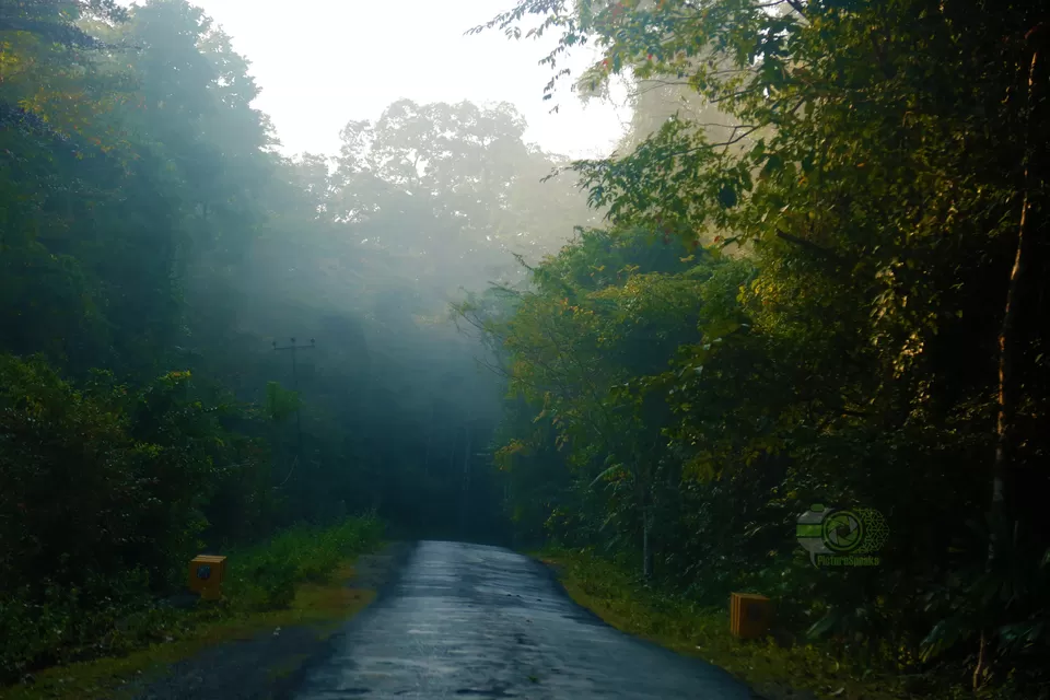 Photo of Andaman and Nicobar Islands, India by anila